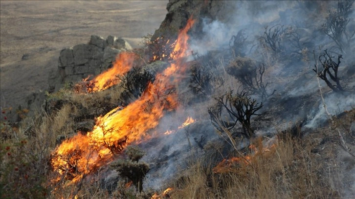 Bayburt'ta dağlık bölgede çıkan örtü yangınına karışma ediliyor