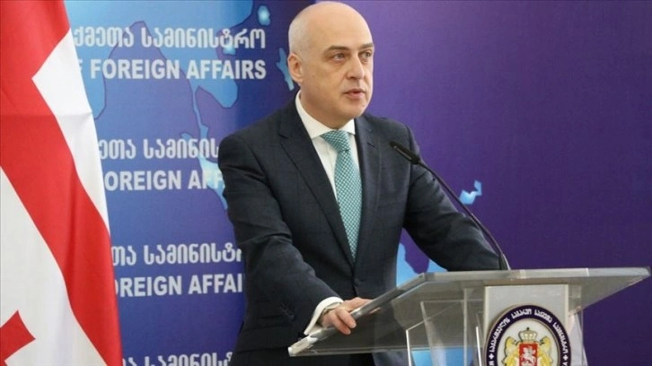 Gürcistan Dışişleri Bakanı Zalkaliani: Ukrayna'nın yanındayız
