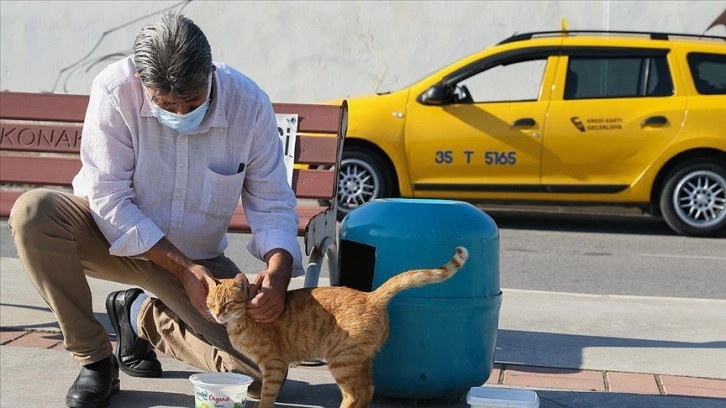 İzmirli taksici 'mama kutusu'nda biriken parayla çıkmaz kedilerine bakıyor