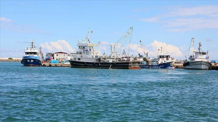 Karadenizli balıkçılar ferah pelit avlamaya bitmeme ediyor