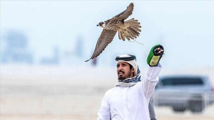 Katar'da kadim müşterek geleneğin yaşatılmış olduğu etkinlik: Şahin Festivali