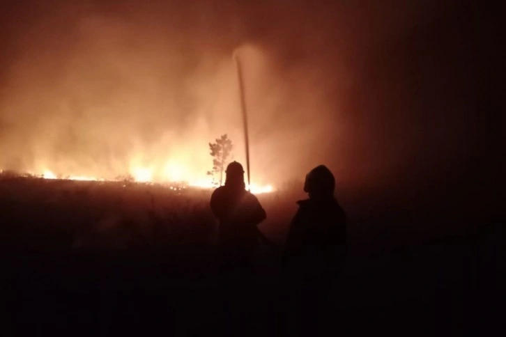 Kazakistan’da süren orman yangını nedeniyle acil durum ilan edildi