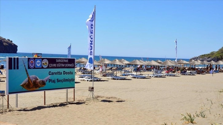 Muğla'daki kum zambaklarıyla adlı sanlı ahali plajına 'Caretta Dostu Plaj' unvanı verildi