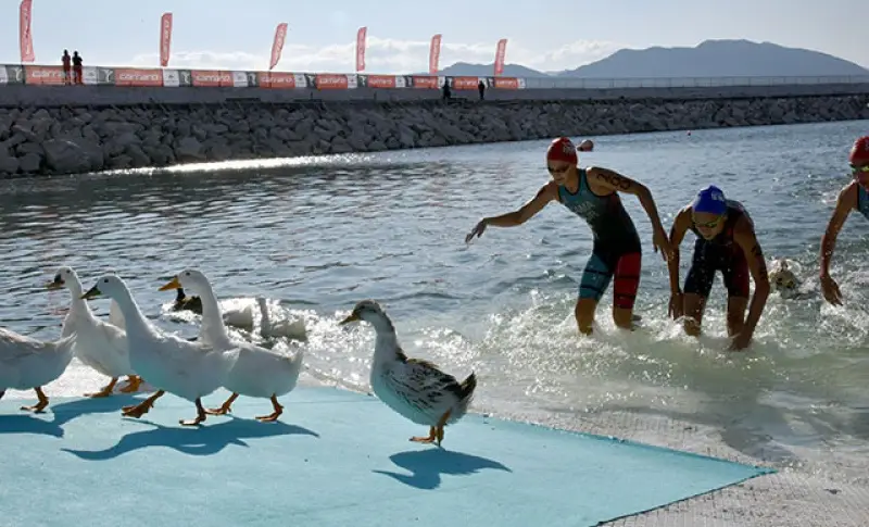Sporcular, ördeklerle yarıştı