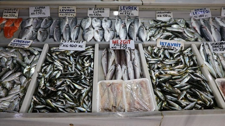 Tekirdağ'da balıkçılar sis zımnında denize açılamayınca balık tutarları arttı