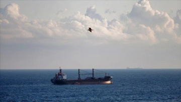 ABD, Karadeniz Tahıl Koridoru Girişimi'nin süresinin uzatılmasını destekliyor
