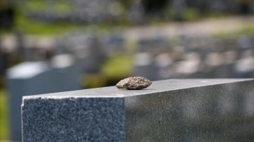 ABD'de Müslüman mezarlığı projesi engellenmeye çalışılmış olan dernek, 500 bin dolar ödence kazandı