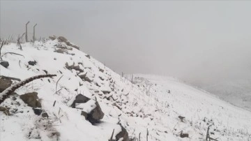 Afyonkarahisar'ın erdemli kesimlerinde kar yağışı can alıcı oldu