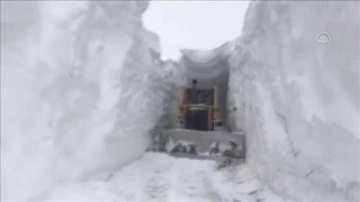 Ağrı'da çığın düşmüş olduğu karye uğrunda ikinci el kardan tünel yapıldı