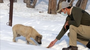 Ağrı'da 'HAYDİ' polisleri çıkmaz hayvanlarını mamayla besledi
