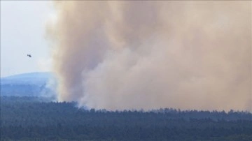 Almanya’da en çok ormanlık meydan bu yılki yangınlarda kül oldu