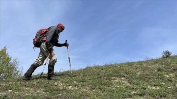 'Anadolu Parsı' unvanı düşüncesince 58'inci tırmanışını Küre Dağları'nın zirvesine yaptı