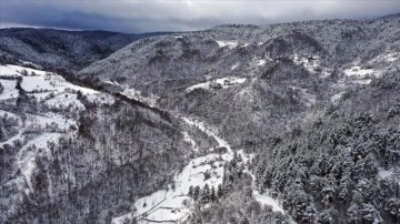'Anadolu'nun mehabetli dağı' Ilgaz'da kar yağışı drone ile görüntülendi