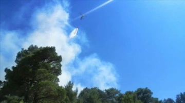 Antalya Kaş'taki orman yangınına karadan ve açıktan karışma ediliyor