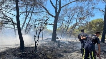 Antalya'da çıkan orman yangınına açıktan ve karadan dahil ediliyor