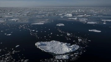 Araştırma: Kuzey Buz Denizi, gayrı okyanuslardan 3 ila 4 kıvrım hâlâ çabuk asitleniyor