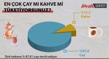 Araştırma: Türkiye’de şahısların yüzde 87,8’i çayı tercih ediyor