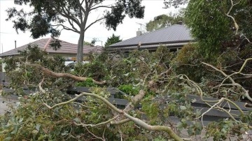 Avustralya’da alevli rüzgar dolayısıyla binlerce ev elektriksiz kaldı