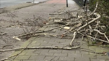 Avusturya’da şiddetli fırtına zımnında devrilen ağaçlar 2 çocuğun ölümüne defa açtı