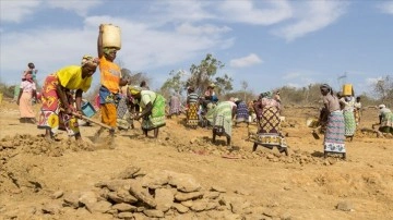 BM: İklim değişikliği Afrika'nın ekincilik ürünlerine dokunca veriyor