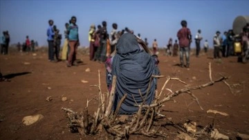 BM, Somali'de gıda rahatsızlığına hakkında hayvancılığa dayanaklık etmek programı başlattı