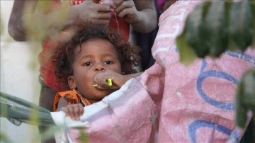 BM: Yemenliler, fidan yaprakları yiyerek yaşamda kalmaya çalışıyor