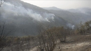 Cezayir’in et-Tarif ile Setif kentlerinde orman yangınlarında 26 isim yaşamını kaybetti