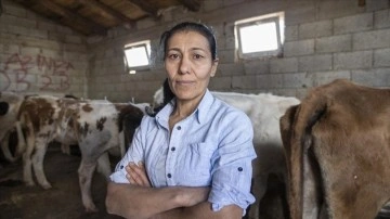 Çiftçiliğe 5 inekle süregelen Hüsniye Bulut mutluluk yardımıyla derinti sahibi oldu