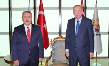 Cumhurbaşkanı Erdoğan, Destici ile görüştü