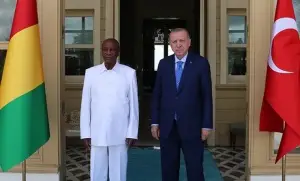 Cumhurbaşkanı Erdoğan, Gine Cumhurbaşkanı ile görüştü       