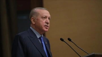 Cumhurbaşkanı Erdoğan: Türkçemizi arkalamak düşüncesince verdiğimiz mücadele, esasında birlikte ulusal mücadeledir