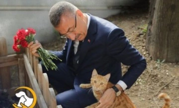 Cumhurbaşkanı Yardımcısı Oktay'dan 'Hayvanları Koruma Günü' mesajı