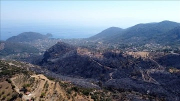 Datça'da yanan orman endüstrisi açıktan görüntülendi