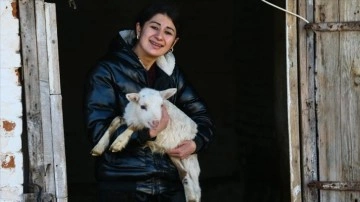 Devletten dayanak noktası meydan canlı kadın hayvancılık düşüncesince köyüne döndü