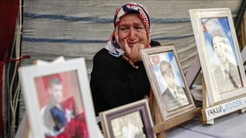 Diyarbakır anneleri Kurban Bayramı'nda da döl nöbetinde