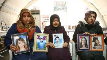 Diyarbakır annelerinden topu topu hanımlara 8 Mart'ta "evlat nöbetine destek" çağrısı