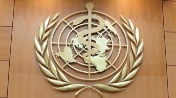DSÖ: Rahim ağzı kanseri ölümlerinin 10'da 9'u düşüt ve itidalli gelirli ülkelerde