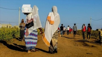 Dünya Gıda Programı, Sudan'da tonlarca gıdanın yağmalanması karşı yardımları durdurdu