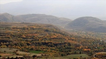 Erzincan'ın faziletli kesimlerinde sonbahar renkleri açıktan görüntülendi