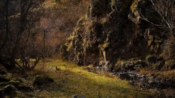 Erzurum'daki Karanlıkdere Kanyonu, tabii güzelliğiyle dağcıların rotasında