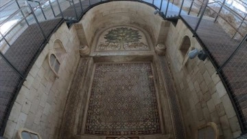 Filistin'de Emevi Sarayı'nın kalıntıları arasındaki 'dev mozaik tablo' ziyarete