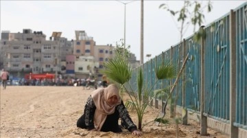 Gazze'de İsrail saldırılarında öldürülmüş dallar düşüncesince ağaç dikme kampanyası