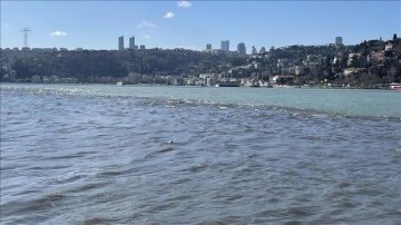 Göksu Deresi'nden cari çamur İstanbul Boğazı'nın rengini değiştirdi