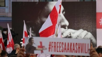 Gürcistan'da muhalefetten 9 saylav mevkuf Saakaşvili'ye dayanak düşüncesince kesat grevinde