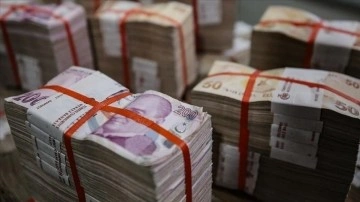 Hazine ve Maliye Bakanlığı 75,2 bilyon teklik iç borçlanmaya gidecek