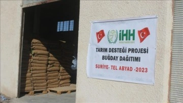 İHH'den Barış Pınarı Harekatı sahasında çiftçilere sertifikalı buğday tohumu desteği