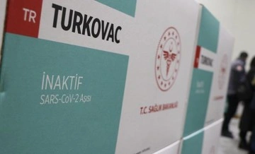 İlk Turkovac aşılarının analizi başladı