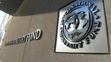 IMF, toptan çoğalma tahmininin bu sene yüzdelik 6'nın altında kalacağını öngörüyor
