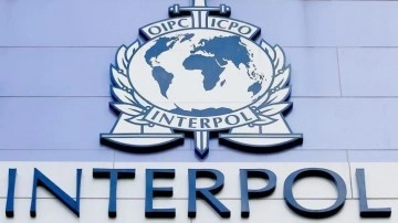 Interpol, Esed rejimini baştan üyeliğe benimseme etti