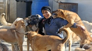 İranlı motor yarışçısı ve oyuncu, kurduğu barınakta 150 köpeğe eş çıkıyor